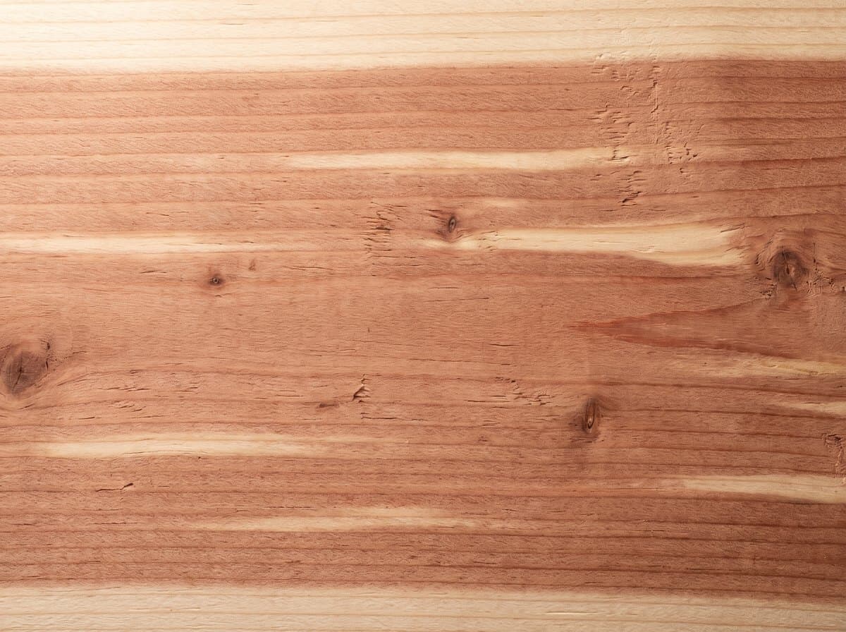 Cedar
