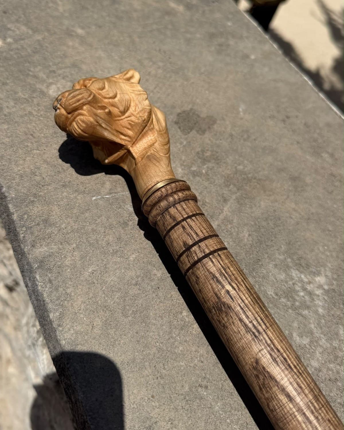 A lion's head hand-carved into the handle of a walking cane, resting on stone in raking sunlight
