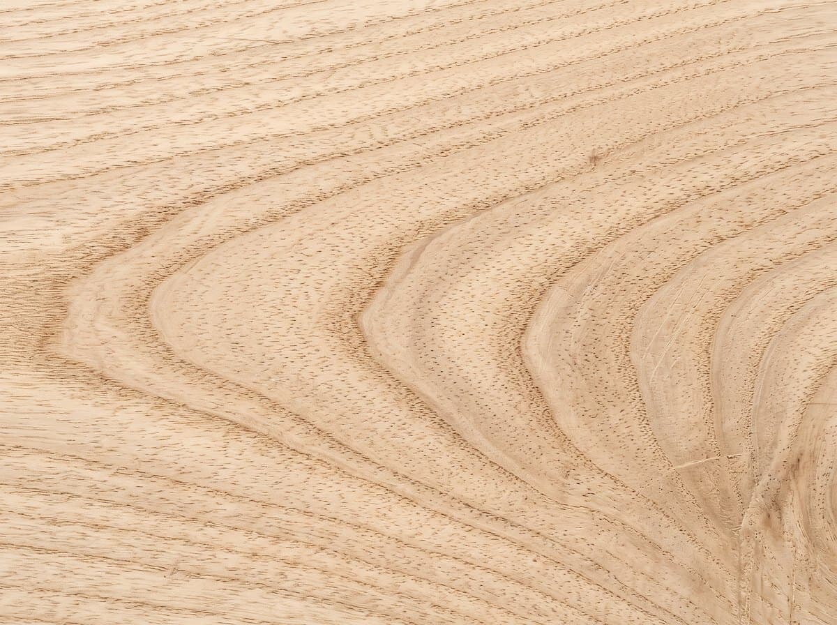 Beech